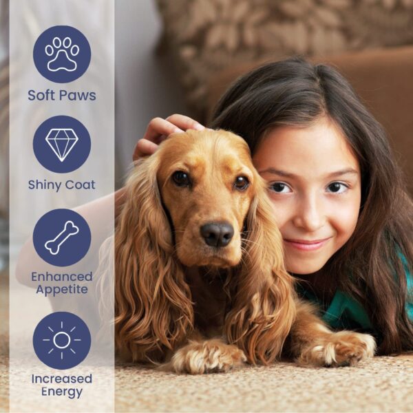 Premium Salmon Dog Pet Oil - Image 3