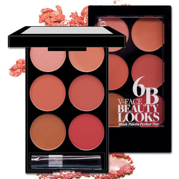 Make-up Multi-color Boutique Domestic Product Six-color Blush Repair Makeup - Image 5