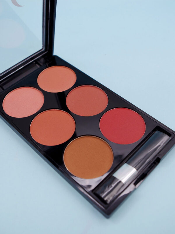 Make-up Multi-color Boutique Domestic Product Six-color Blush Repair Makeup - Image 4