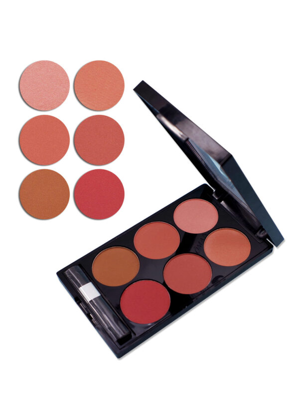 Make-up Multi-color Boutique Domestic Product Six-color Blush Repair Makeup - Image 3